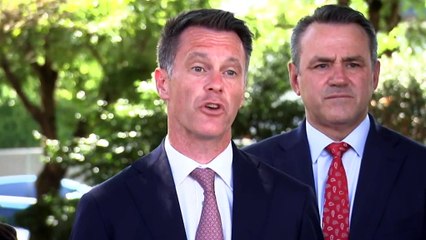 NSW Labor chooses Bob Nanva as replacement for Khal Asfour in Upper House spot