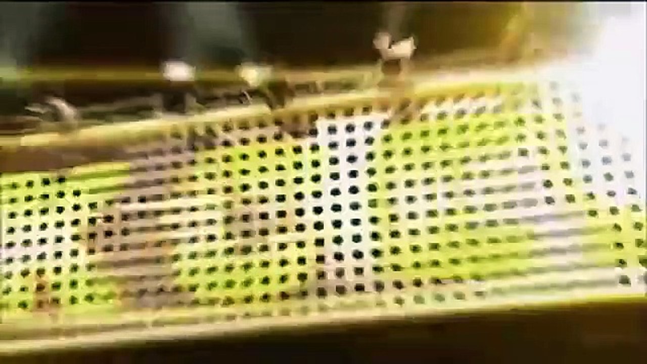 Celebrity Name Game - Se1 - Ep43 HD Watch