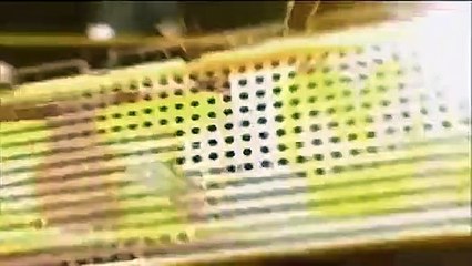 Celebrity Name Game - Se1 - Ep45 HD Watch