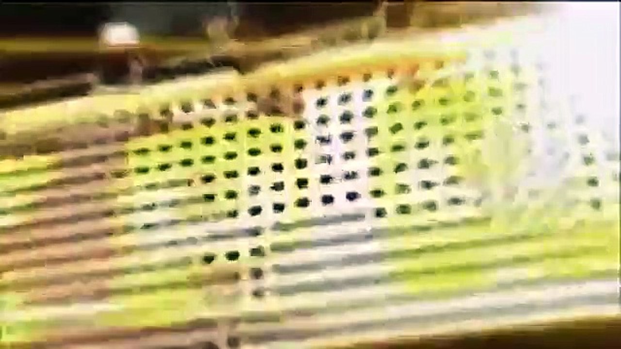 Celebrity Name Game - Se1 - Ep50 HD Watch