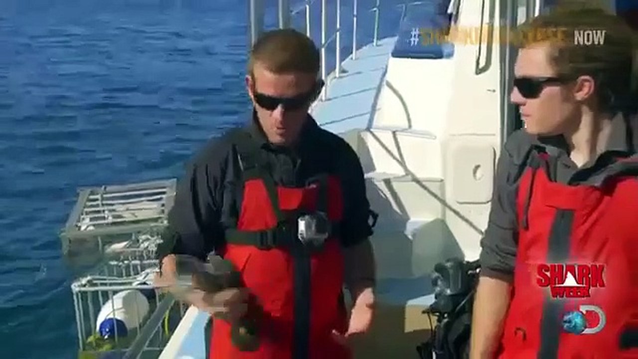 Shark Week - Se26 - Ep08 HD Watch