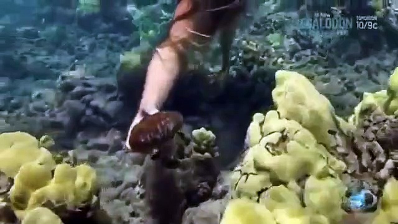 Shark Week - Se27 - Ep10 HD Watch