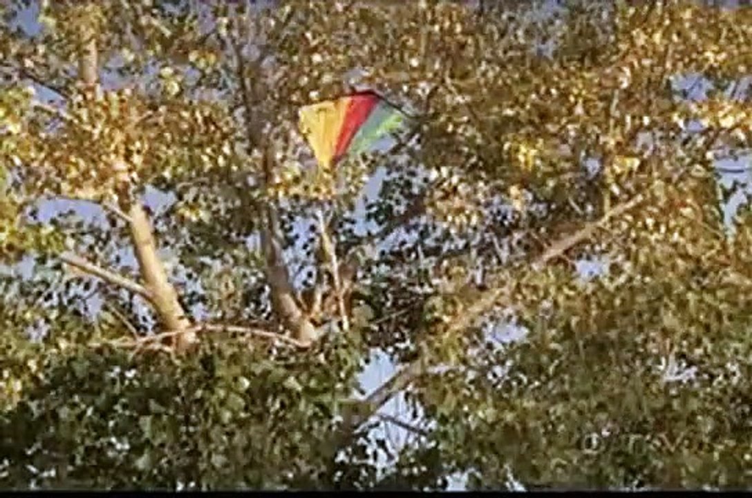 Corner Gas - Se5 - Ep19 HD Watch