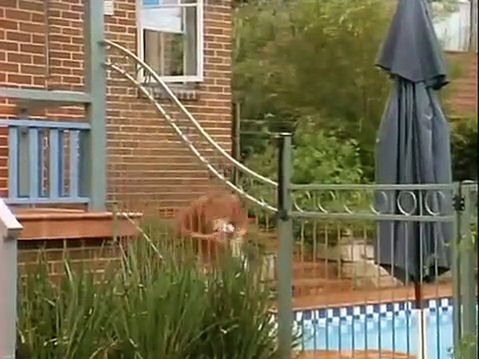 Spellbinder - Se1 - Ep13 HD Watch