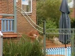 Spellbinder - Se1 - Ep13 HD Watch