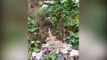 La basura sigue dando dolores de cabeza en Gran Santo Domingo