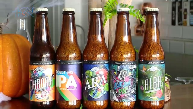 Marca de cerveza artesanal tica es la más premiada de centroamérica en festivales europeos qn-Marca de cerveza artesanal tica es la más premiada de centroamérica en festivales europeos -260123