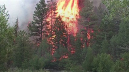 Colorado Looks to Artificial Intelligence to Prevent Forest Fires