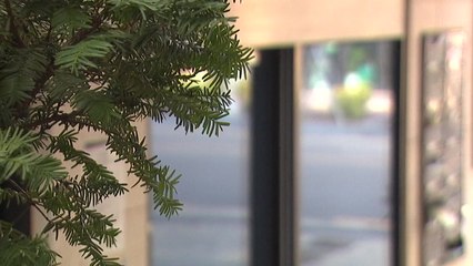 [뉴스라이더] '김치통' 아기 무연고 장례...관계기관이 수목장으로 치렀다 / YTN