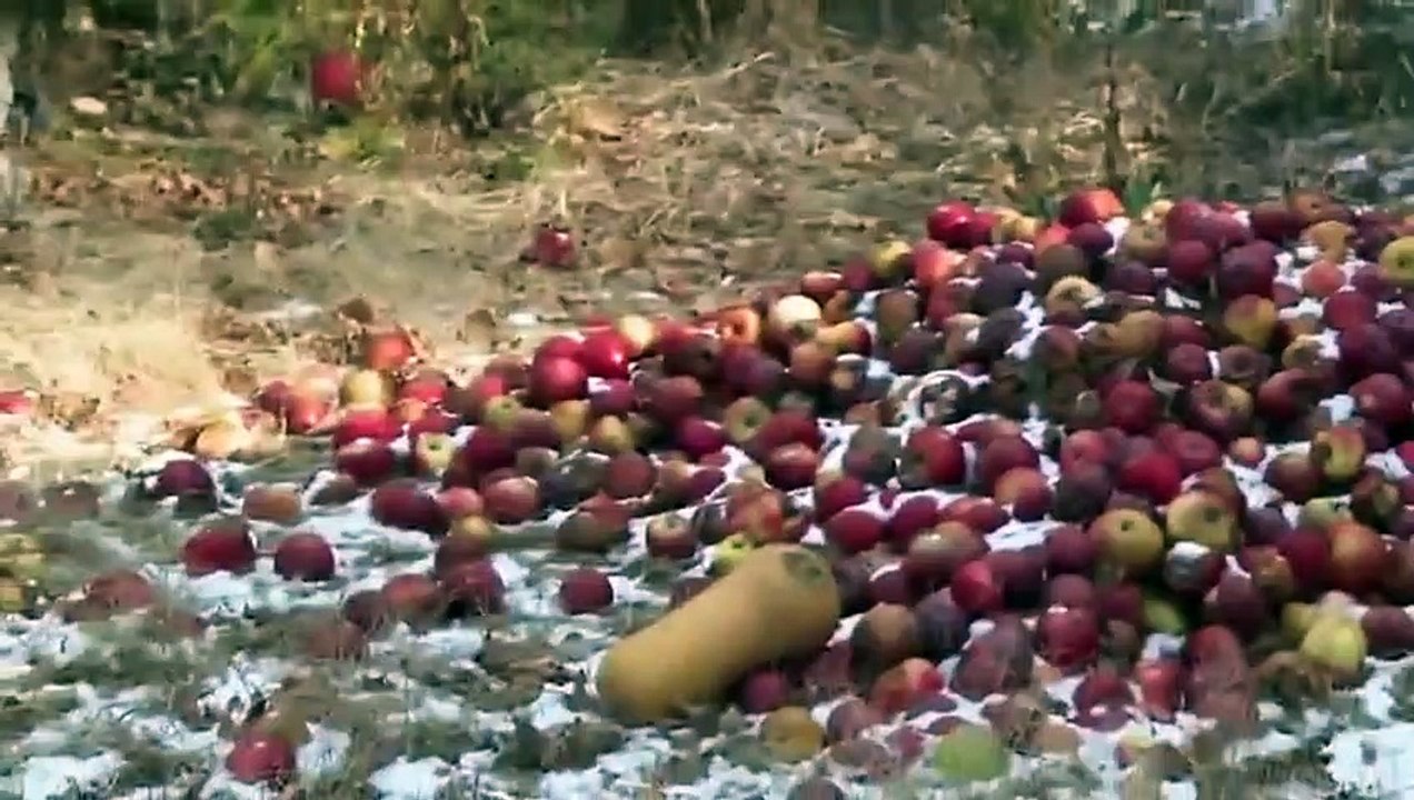 North Woods Law - Se12 - Ep09 - Rules of the Game HD Watch