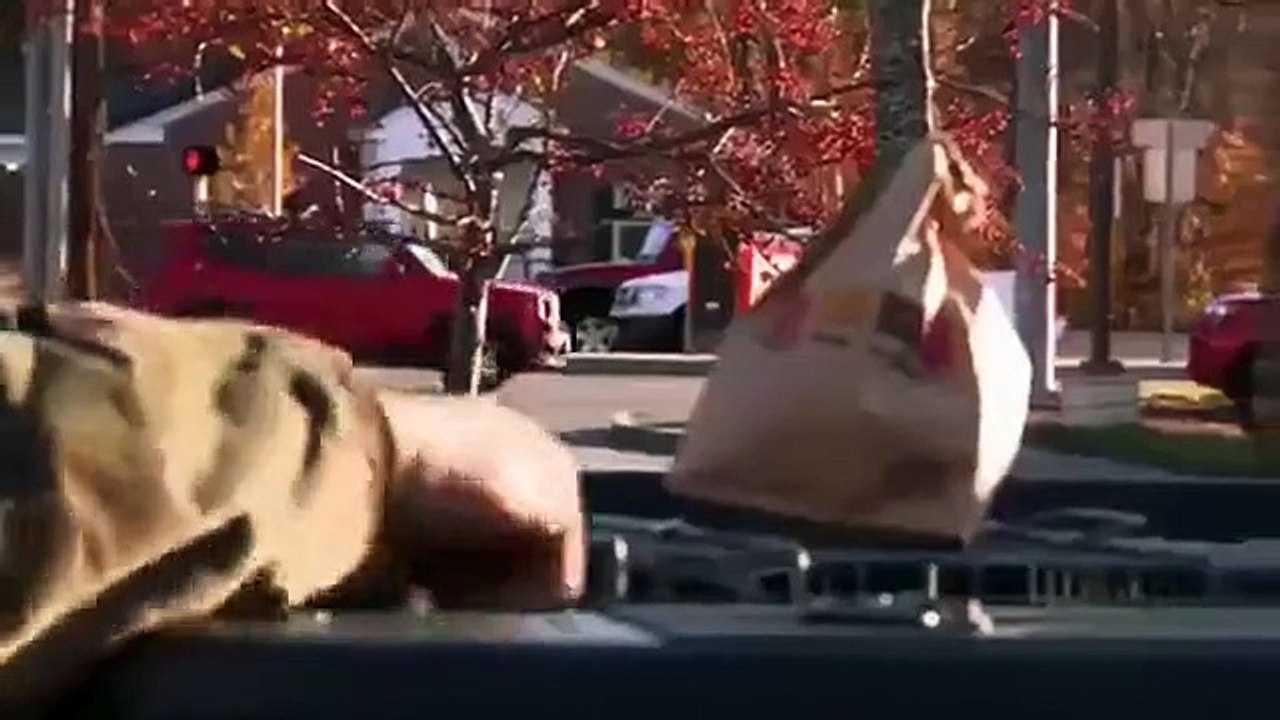 North Woods Law - Se12 - Ep10 - Dawn Patrol HD Watch