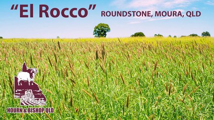 El Rocco, Moura, Qld - January 27, 2023 - Farmonline