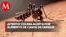 Reportan casos de dengue a la alza en Colima; van 13 en lo que va del año