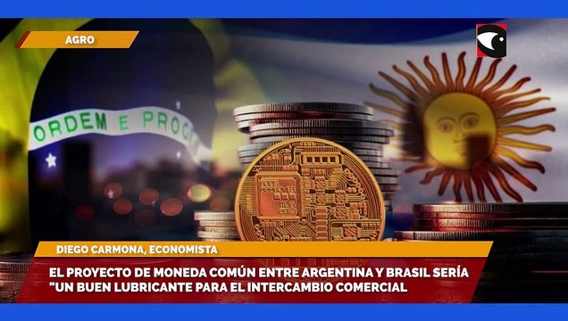 El proyecto de moneda común entre Argentina y Brasil sería un buen lubricante para el intercambio comercial