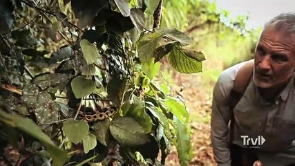 America Unearthed - Alien Artifacts