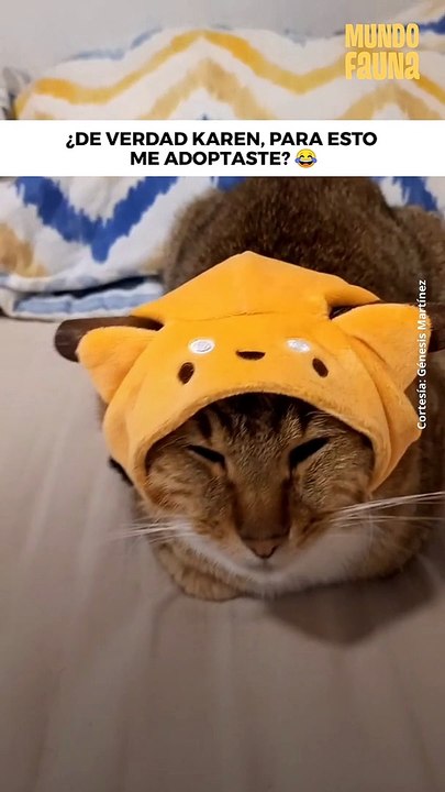 Ya te estás pasando Karen...