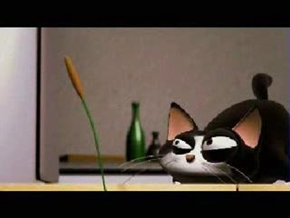 Chat