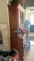 Naughty Owl Gets Into Yarn