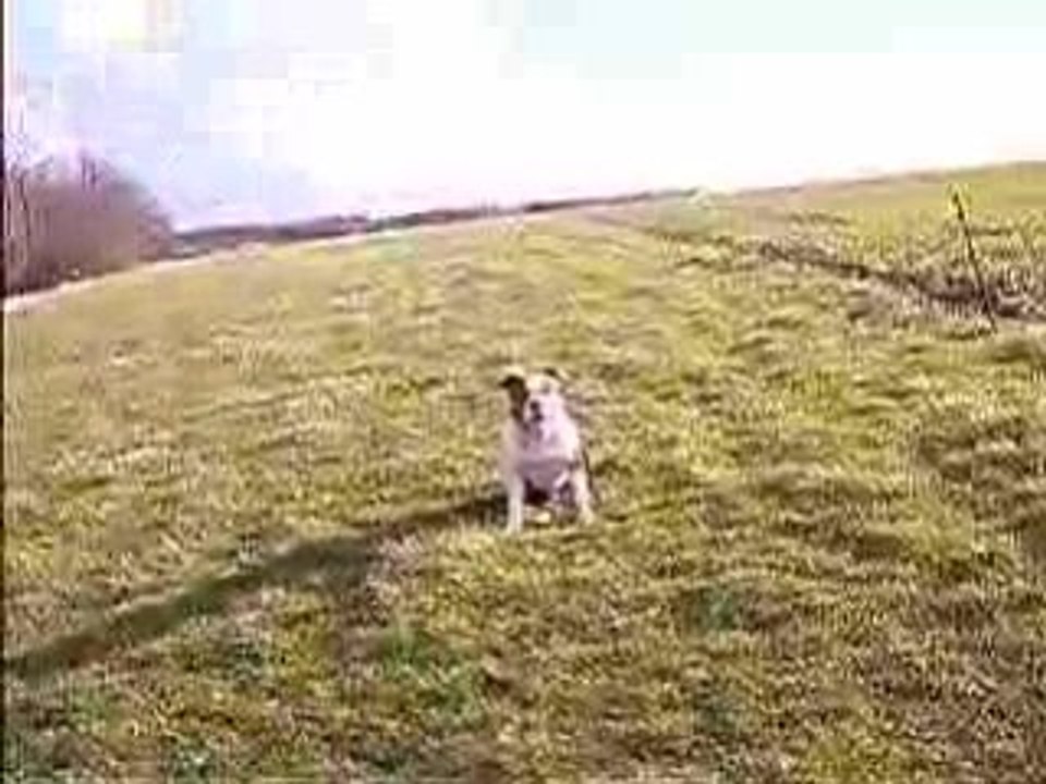 chouchou en obé & les positions à distance