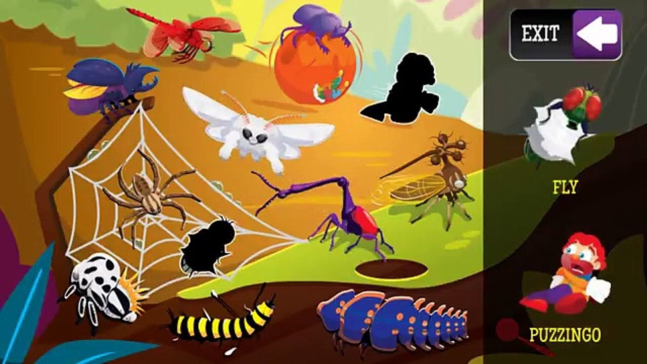 PUZZINGO Toddler Kids Puzzles - BUGS.mp4 - video Dailymotion