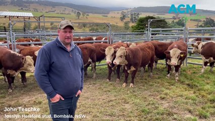 Studs open gates for 2023 Stock & Land Beef Week