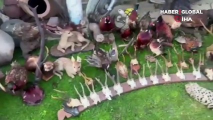İstanbul’da tarihi eser operasyonu! 55 eser ile çeşitli hayvan kafaları ve kafatasları ele geçirildi