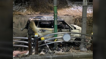 음주운전 차량이 가로수 들이받고 불...운전자 다쳐 / YTN