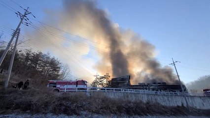 안동 채소 재배시설에서 불...재산 피해 25억여 원 / YTN