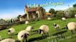 Shaun the Sheep S02 E054 - Hide and Squeak