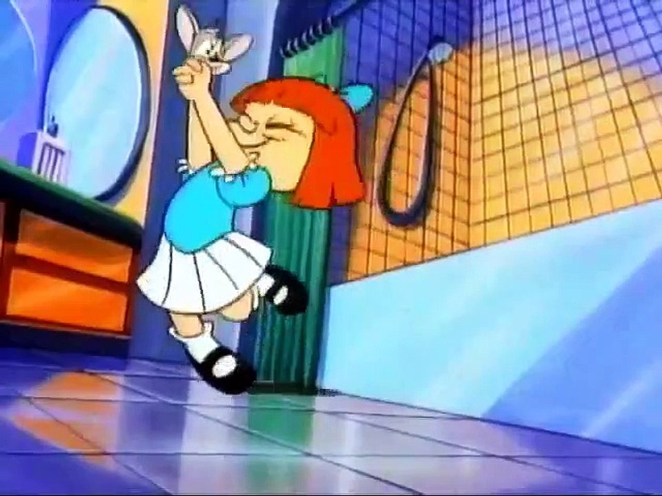 Tiny Toon Adventures - Se1 - Ep10 HD Watch