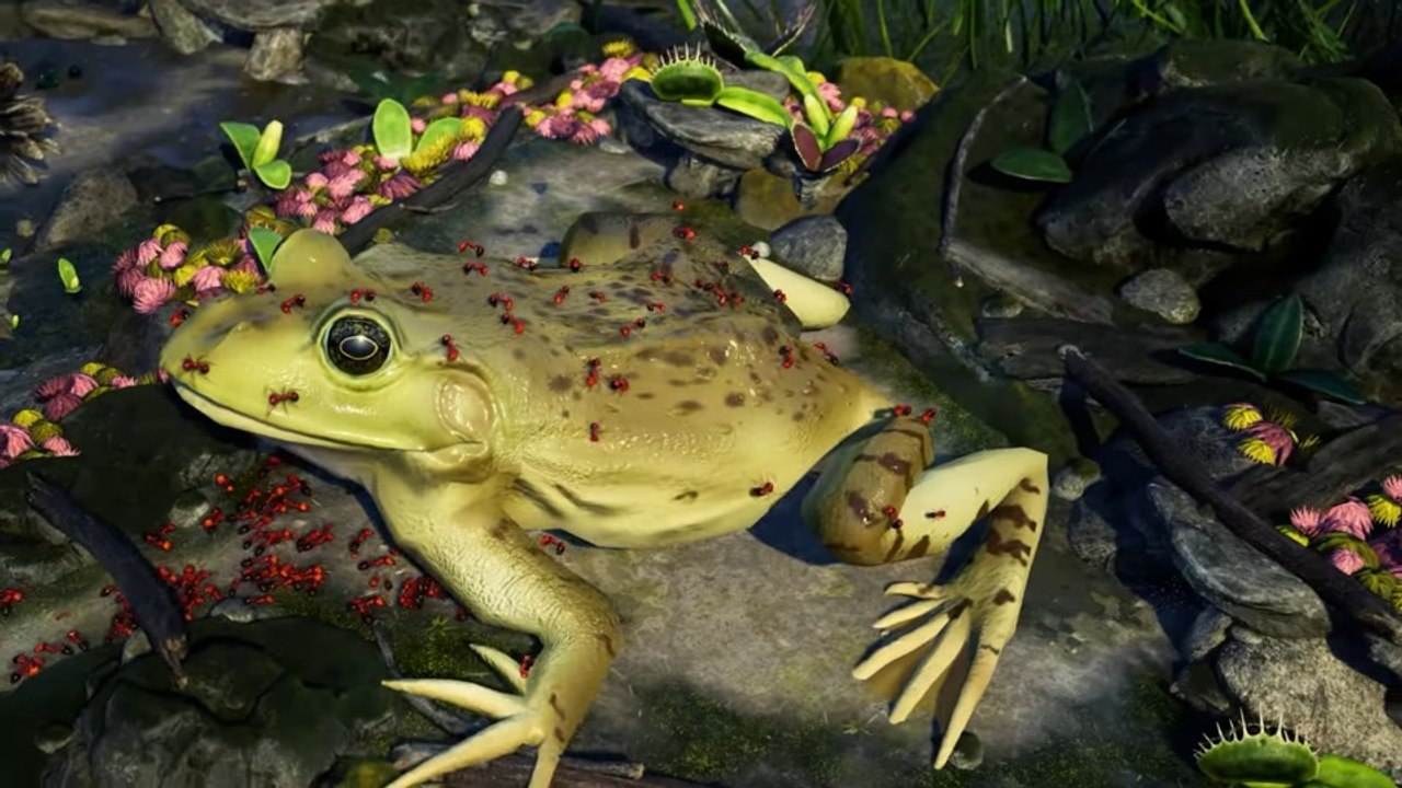 Empires of the Undergrowth zeigt im Trailer Strategie mit Insekten