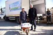 Aydın Büyükşehir Belediyesi'nden küçük aile işletmelerine yem desteği sürüyor