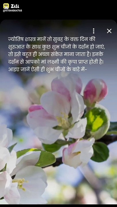 Good Morning