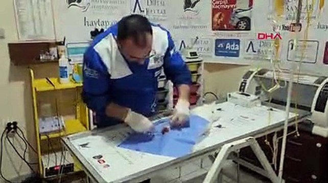 Patisi kesik bulunan kediyle ilgili ‘büyü’ şüphesi