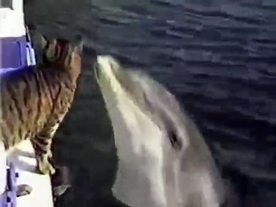 Projekt 27_01_2023 (2)