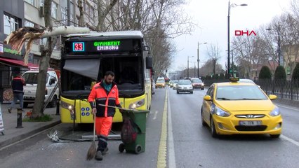 Fatih'te çarptığı dal, İETT otobüsünün üstüne düştü
