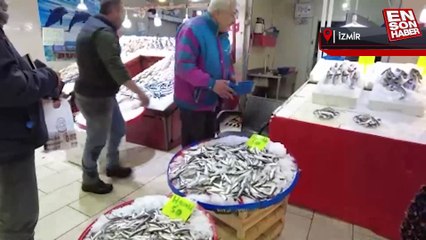 İzmir Foça’da tezgahları levrek balığı süslüyor