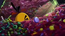 Angry Birds Toons - Se1 - Ep33 - Night of the Living Pork HD Watch