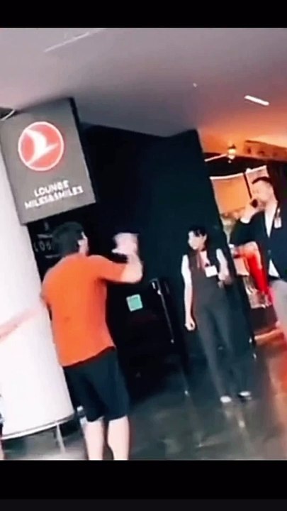 cães, perdidos, aeroporto