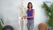 PILATES WITH FLO - Retrouver la mobilité de ses hanches