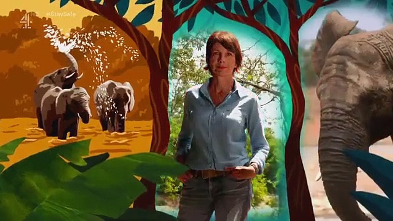 Work on the Wild Side - Se1 - Ep02 HD Watch