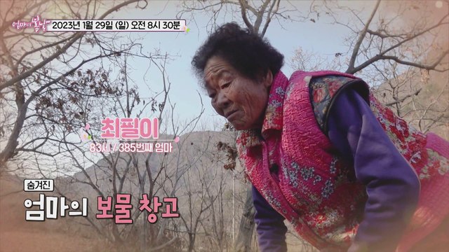 필이 엄마의 母情 돌탑_엄마의 봄날 385회 예고 TV CHOSUN 230129 방송