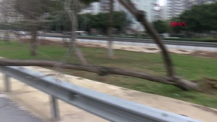 ANTALYA'DA KUVVETLİ FIRTINA AĞAÇ YOLA DEVRİLDİ