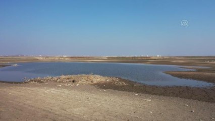 DİYARBAKIR - Geciken yağışlar göl ve göletlerde kuraklık riskine neden oldu