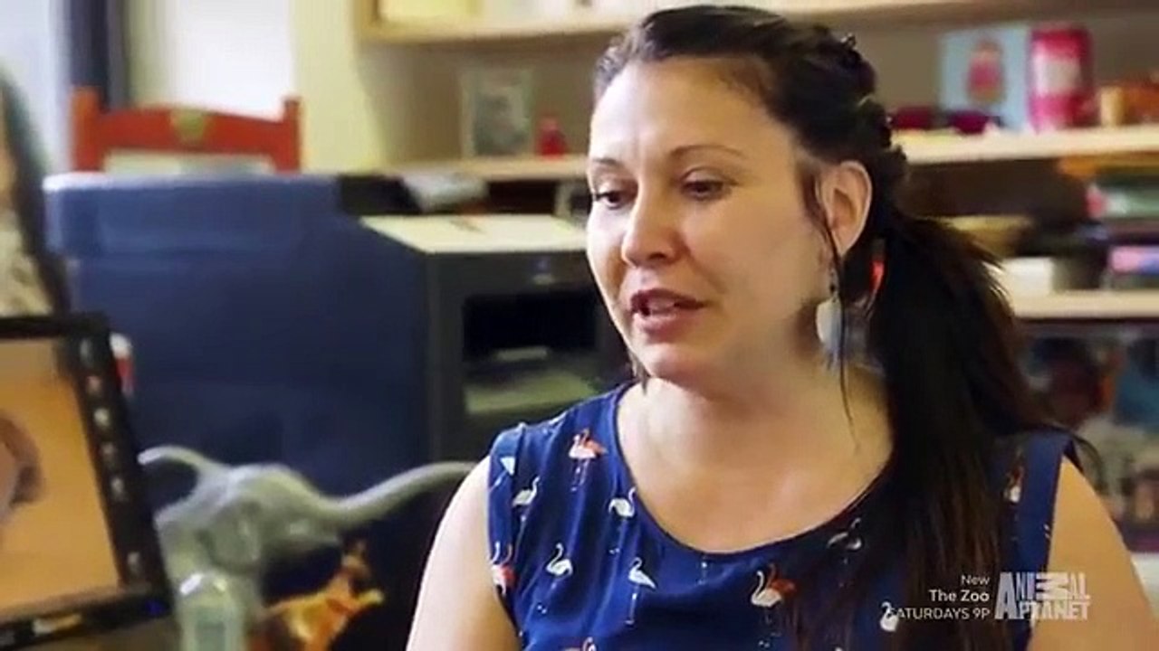 The Zoo (2017) - Se2 - Ep01 - Kangaroo Dave HD Watch