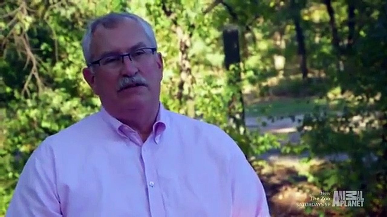 The Zoo (2017) - Se2 - Ep04 An Elephants Trust HD Watch