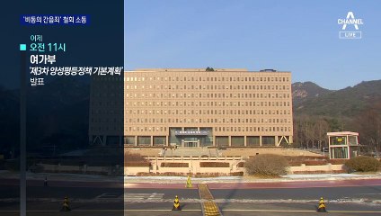 “법무부와 협의된 것”…여가부, ‘비동의 간음죄’ 9시간 만에 철회