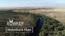 Waterbuck hunting with Nick Bowker