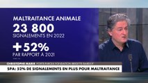 Christophe Marie :«Il y a une escalade de la maltraitance animale» dans #MidiNews
