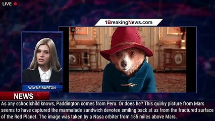 107961-mainIt's a Mars bear! Image resembling Paddington is seen on the surface of the